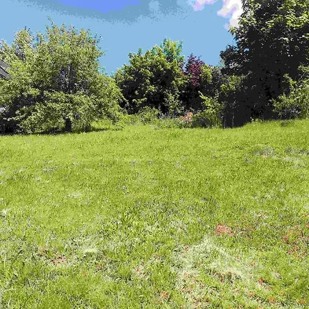 Ferienwohnung Am Goldbach *